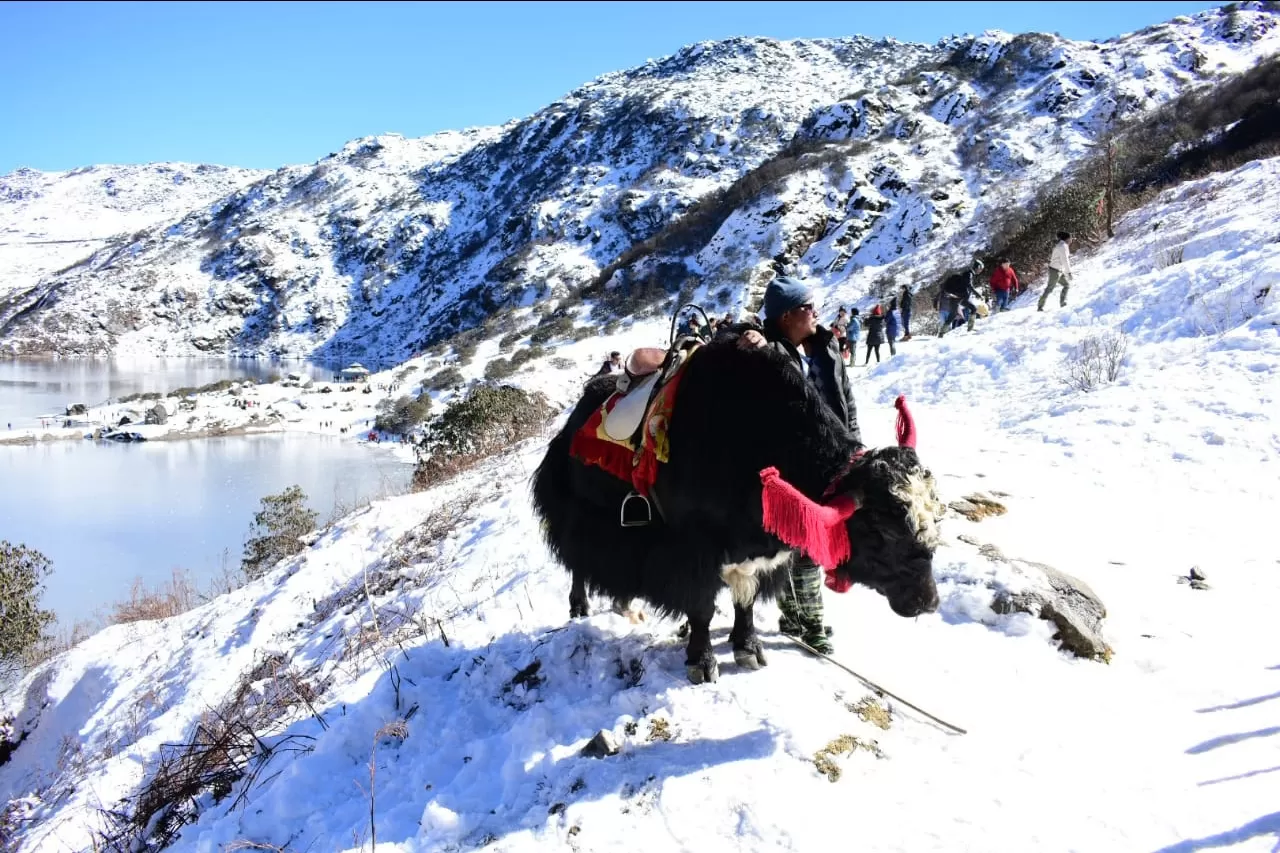 Photo of Gangtok By Kisslay Anand