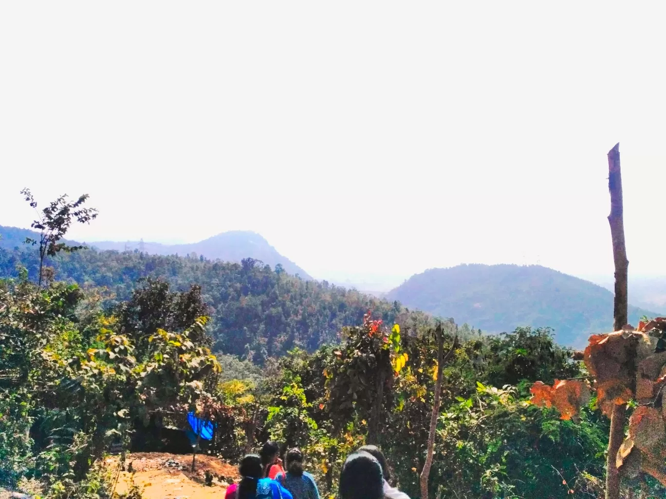 Photo of Ajodhya Hill and Forest Reserve Area By #musings