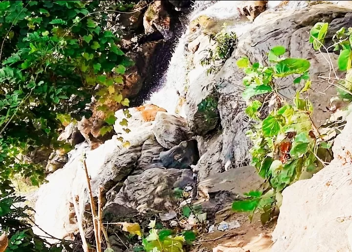 Photo of Ajodhya Hill and Forest Reserve Area By #musings