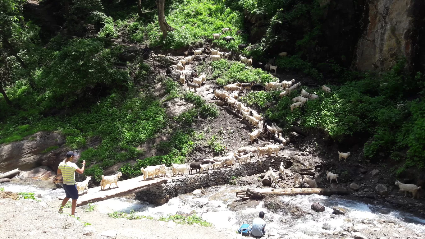 Photo of Kasol By Ankit Rustagi