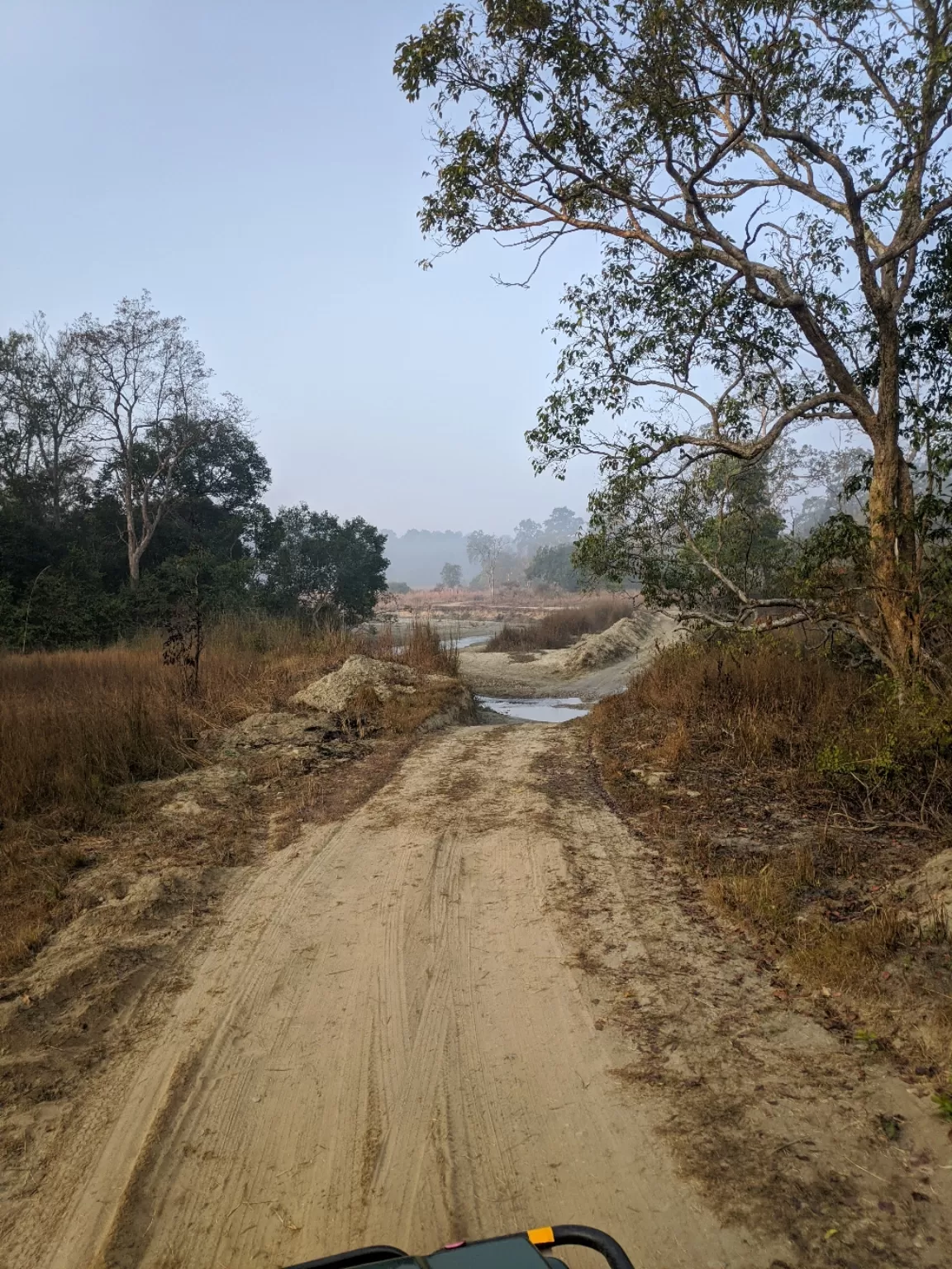 Photo of Jim Corbett National Park By Ankit Rustagi