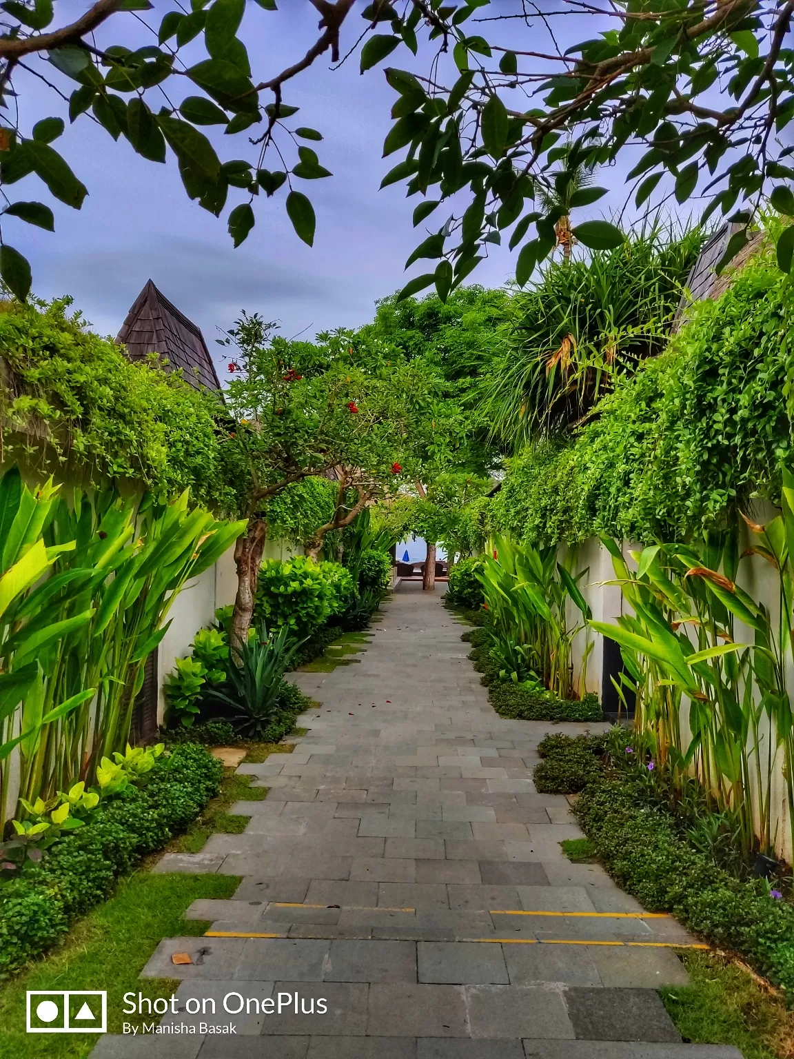 Photo of Bali By Photophile_life