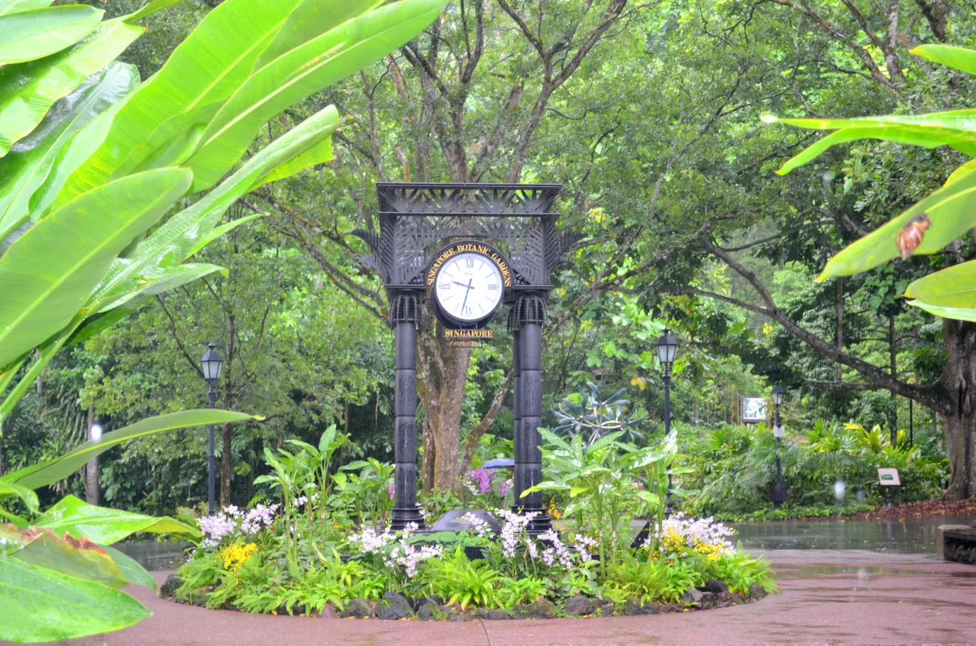 Photo of Singapore Botanic Gardens By Ajay Sharda