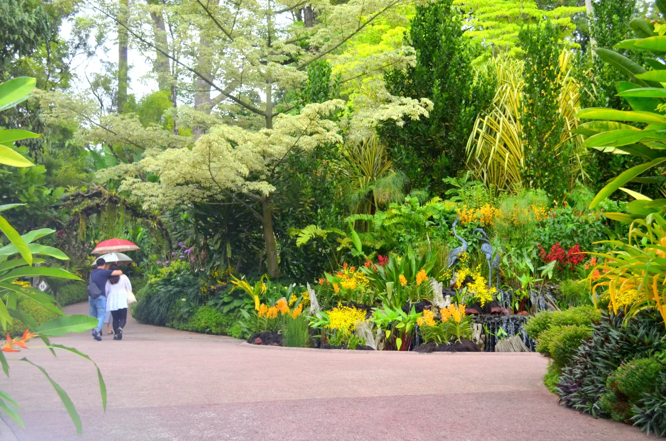 Photo of Singapore Botanic Gardens By Ajay Sharda