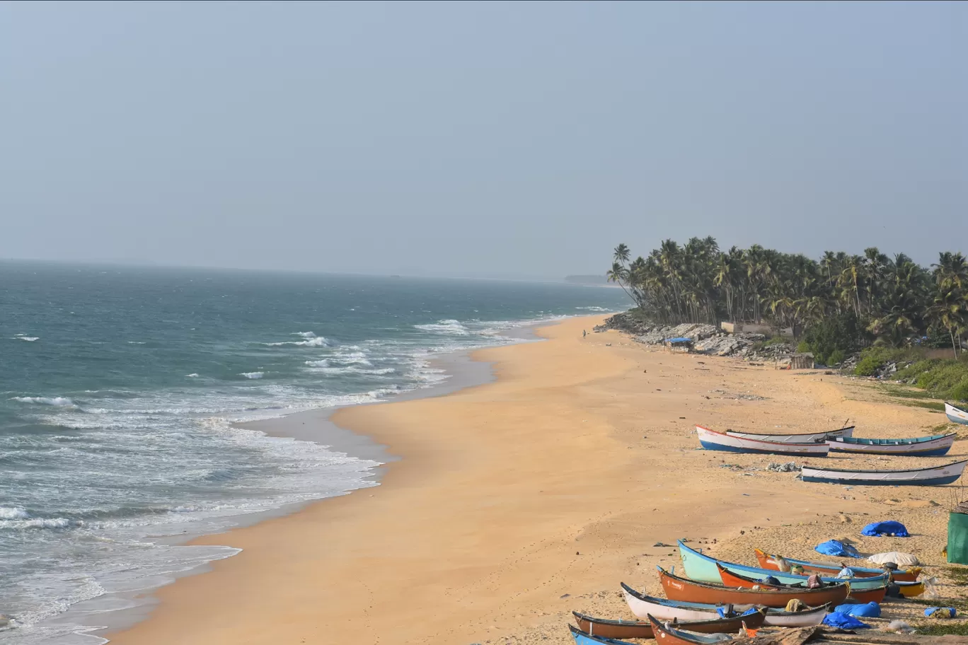 Photo of Kapu By Harshit jangid (Tippy)