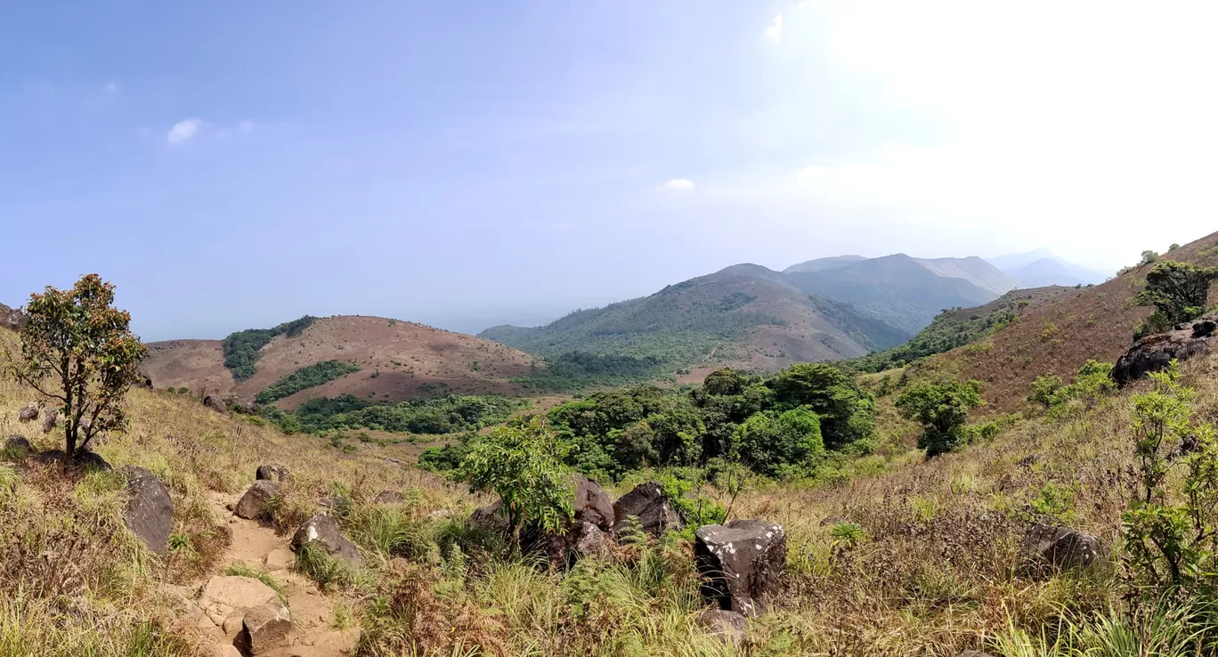 Photo of Tadiandamol Hills By Shrikanth Bhat