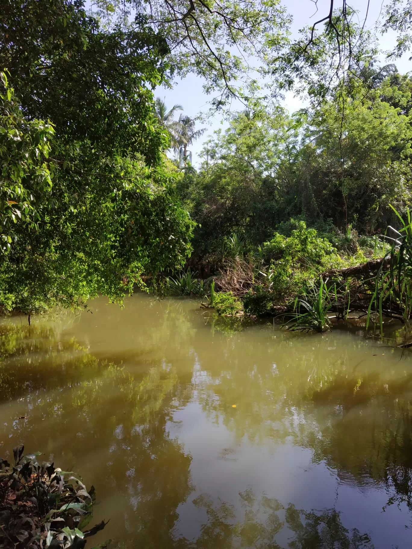 Photo of Calicut By Revanth Nanoth