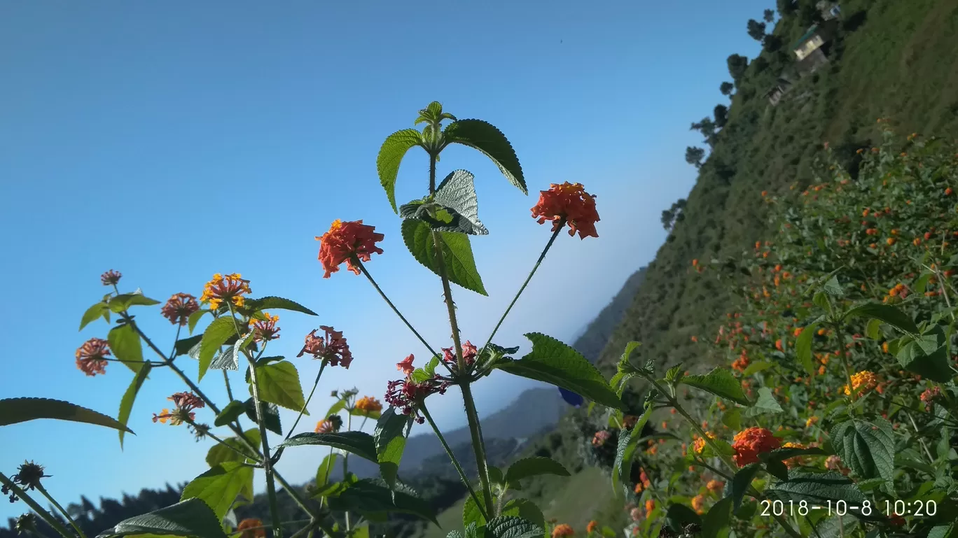 Photo of Uttarakhand By Umesh Kumar Gond