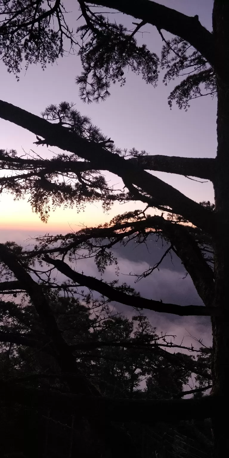 Photo of McLeod Ganj By Vijay Kumar