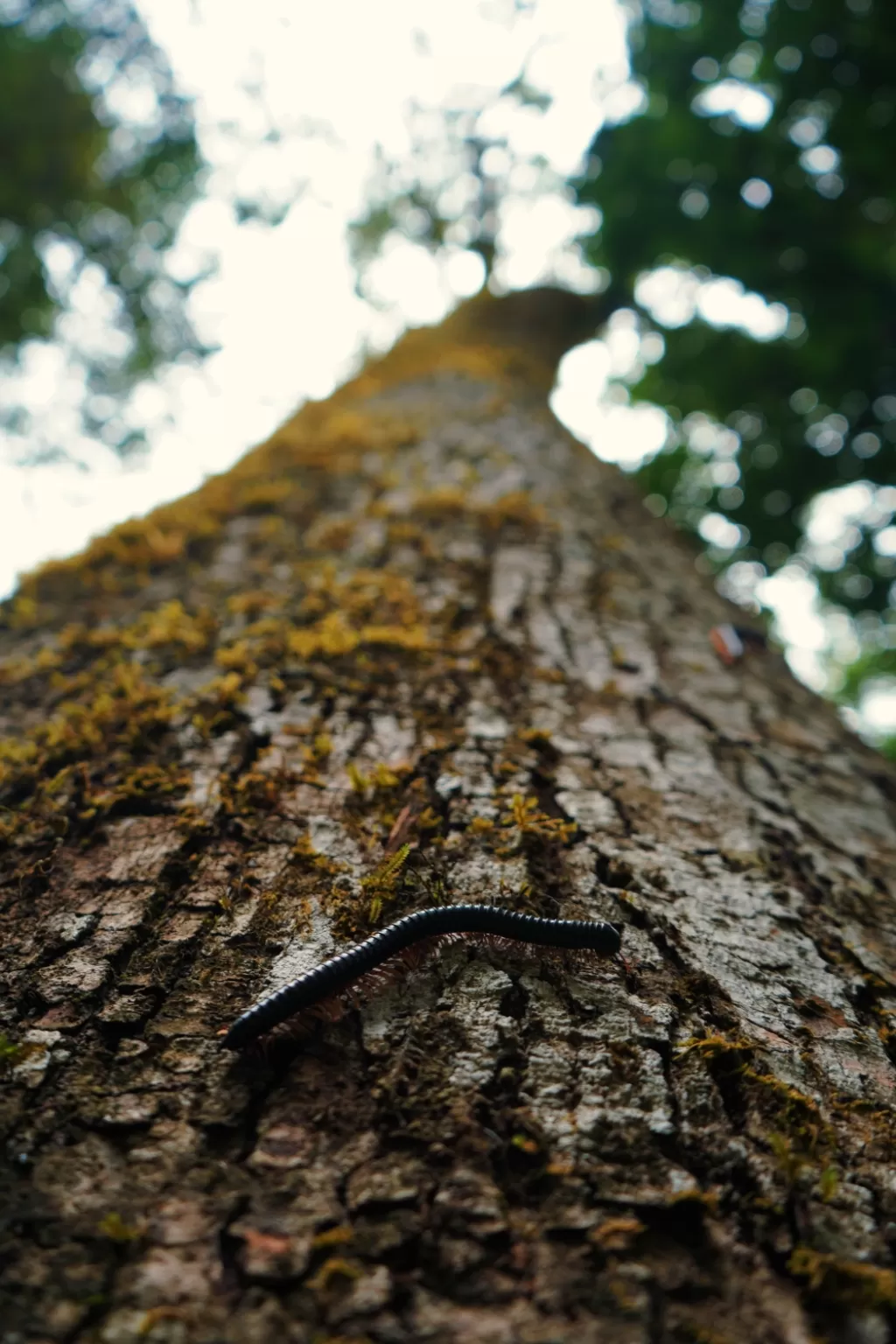 Photo of Wayanad By vaishak