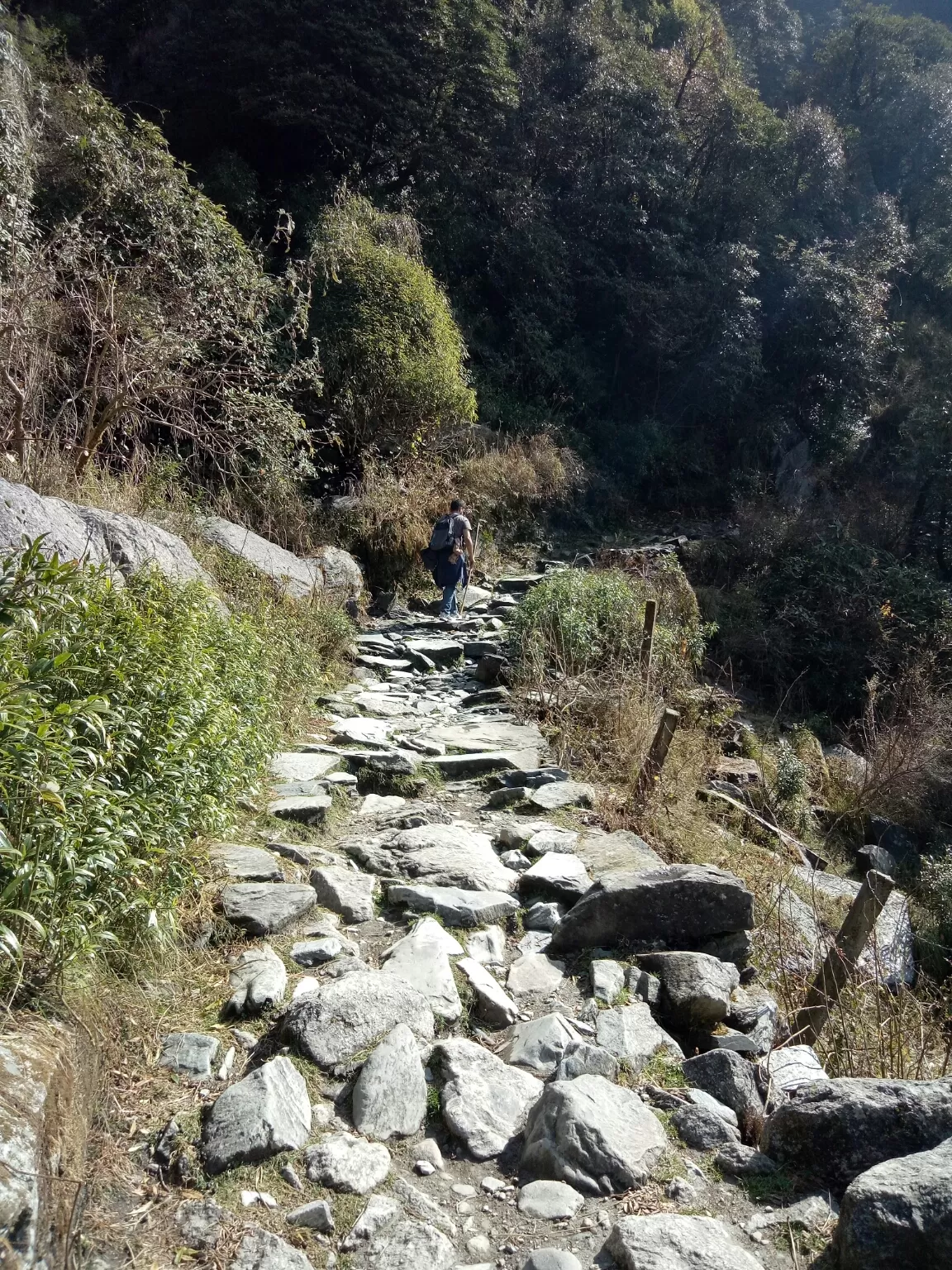 Photo of McLeod Ganj By richa l