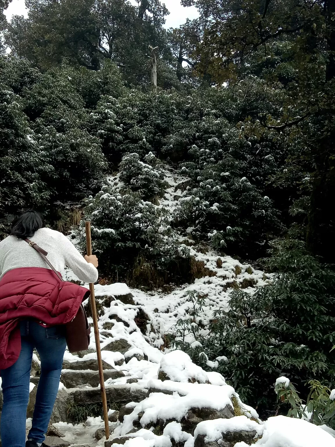 Photo of McLeod Ganj By richa l