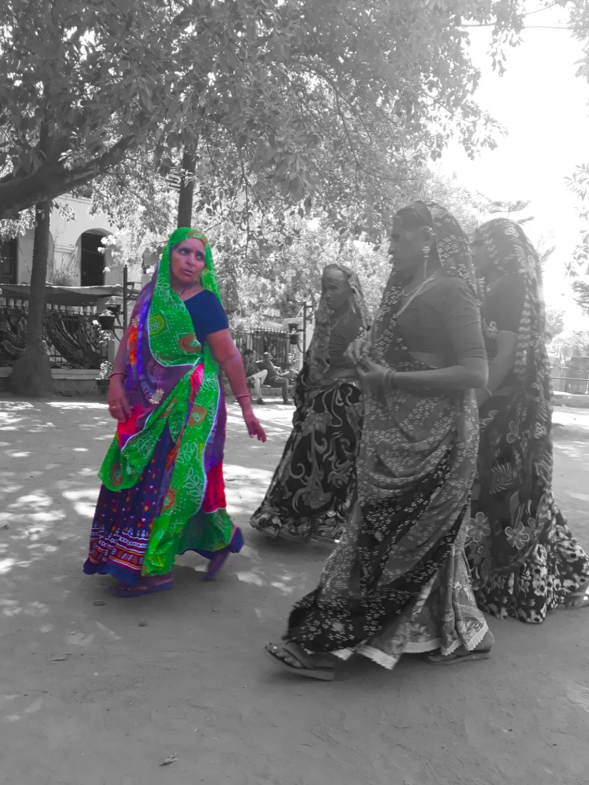Photo of Rajasthan By Dr.sheetal
