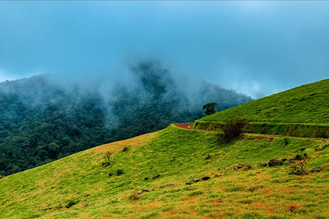 Photo of Kodachadri Trek Trail By Abhijit Dange