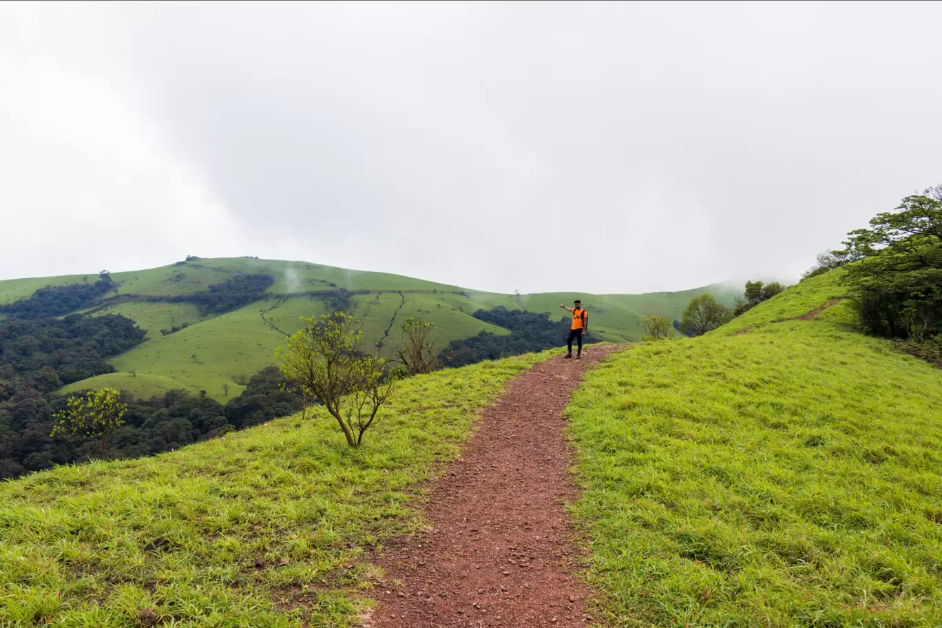 Photo of Kodachadri Trek Trail By Abhijit Dange