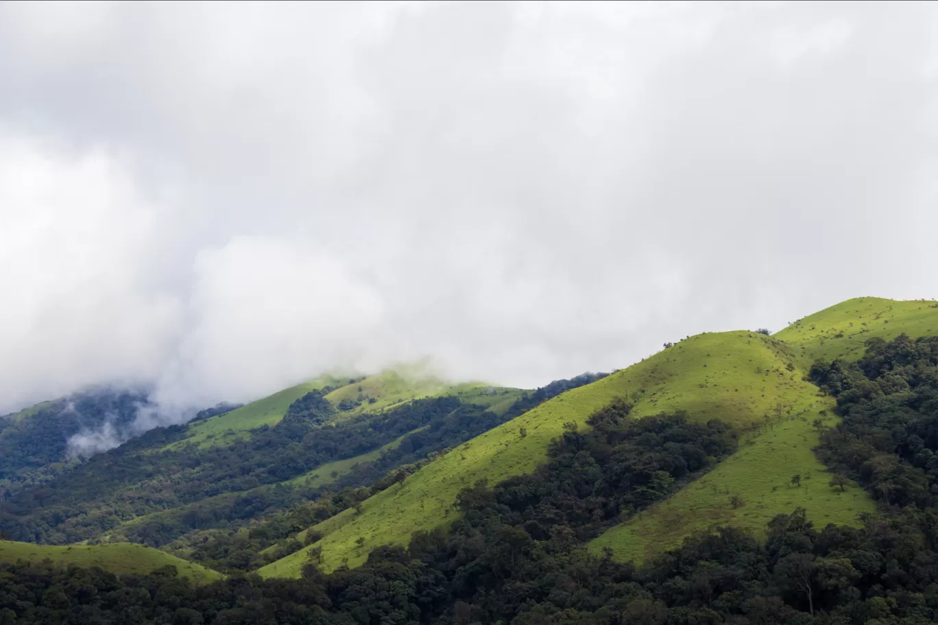 Photo of Kodachadri Trek Trail By Abhijit Dange