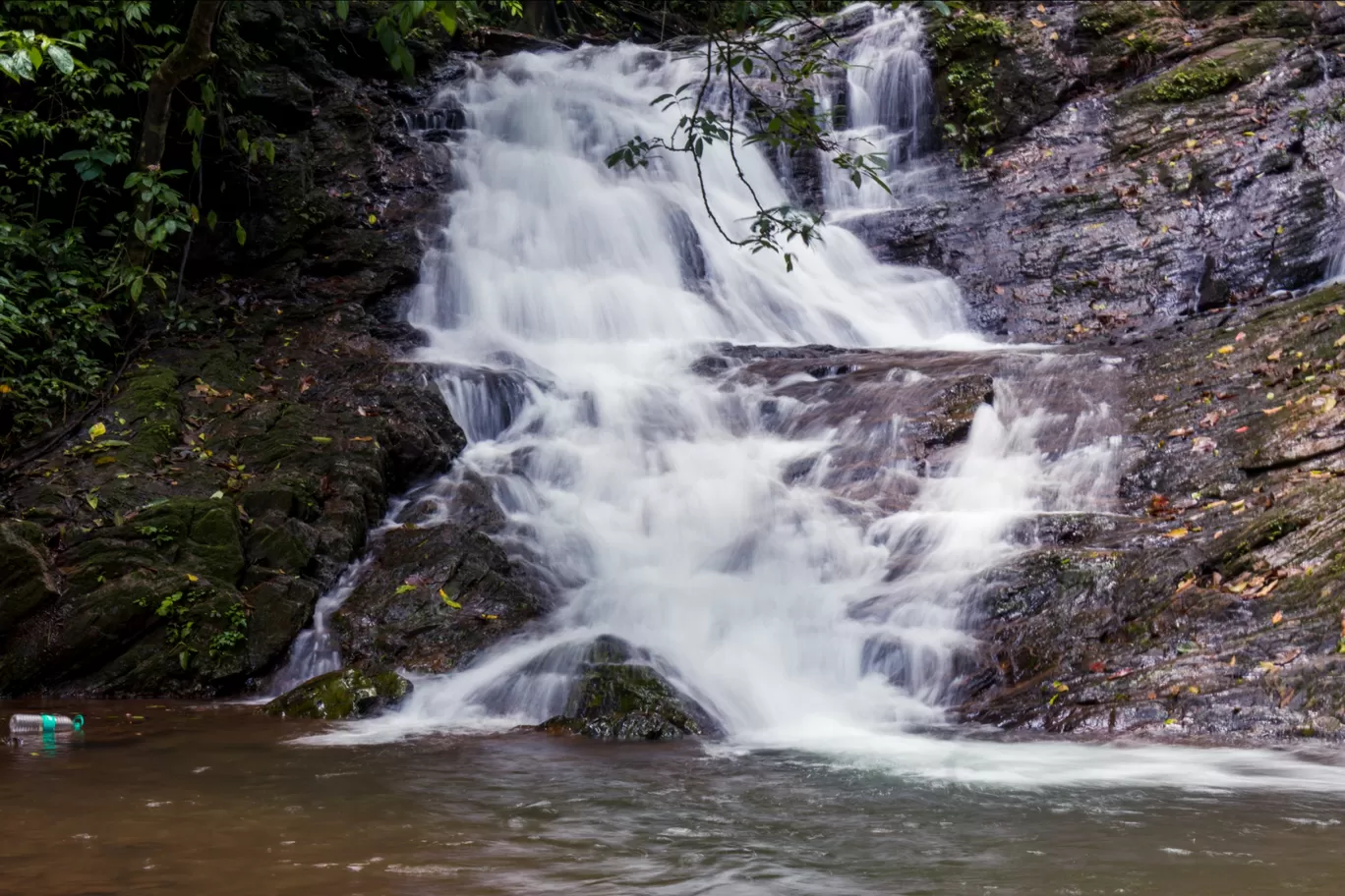 Photo of Kodachadri Trek Trail By Abhijit Dange