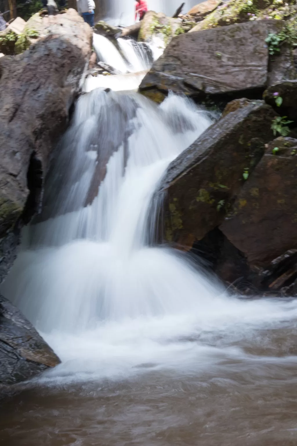 Photo of Kodachadri Trek Trail By Abhijit Dange