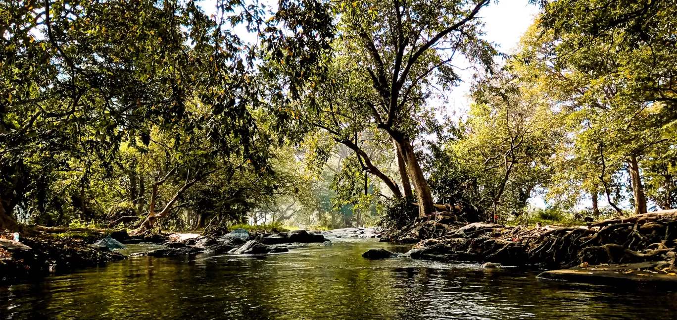 Photo of Hogenakkal Waterfalls By Sidharth Menon