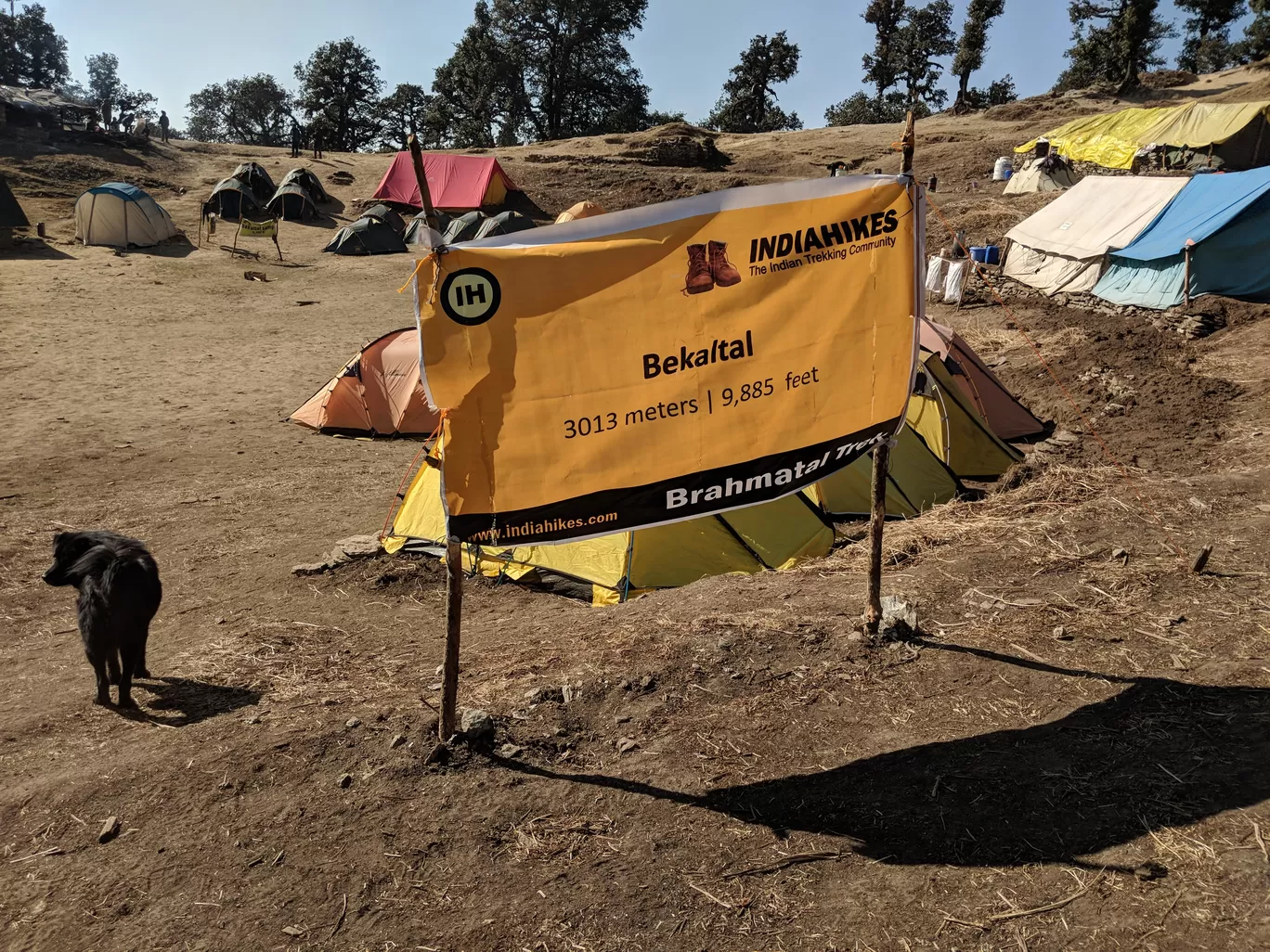 Photo of Brahmatal Trekking By Asish Krishna