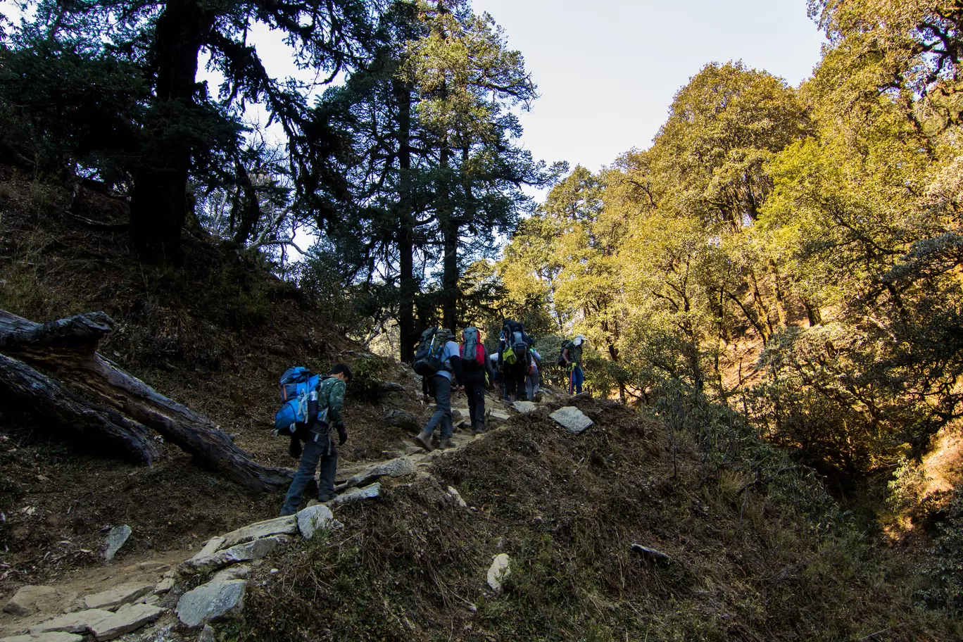 Photo of Brahmatal Trekking By Asish Krishna