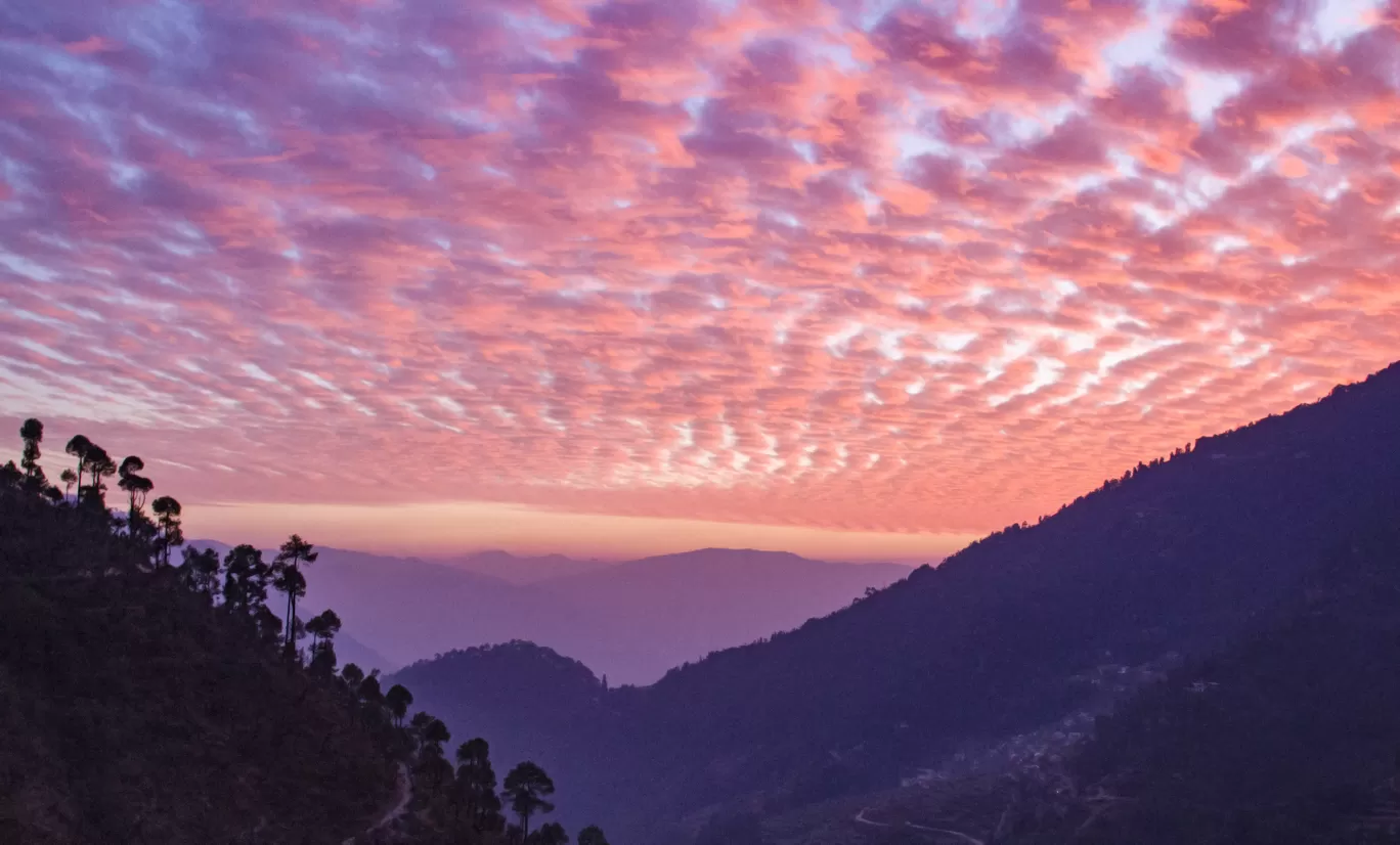 Photo of Brahmatal Trekking By Asish Krishna