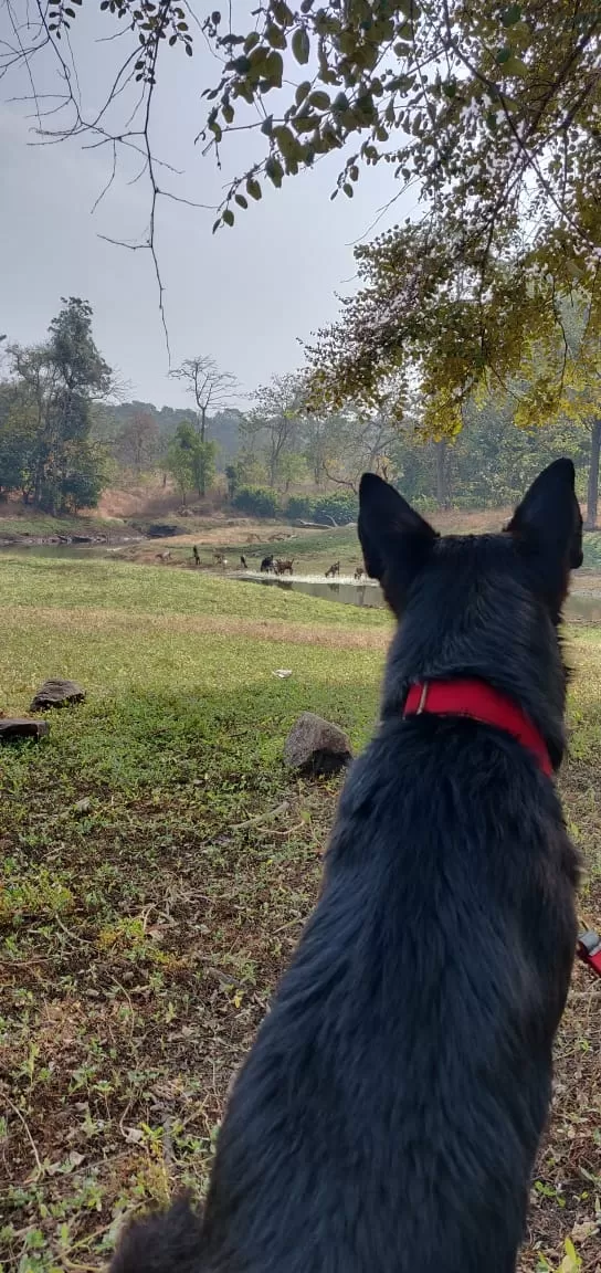 Photo of Tansa By Akshay Dandekar