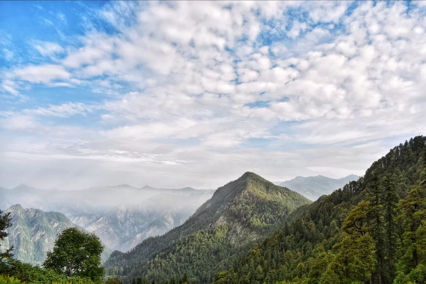 Photo of Sosan By subodh khade