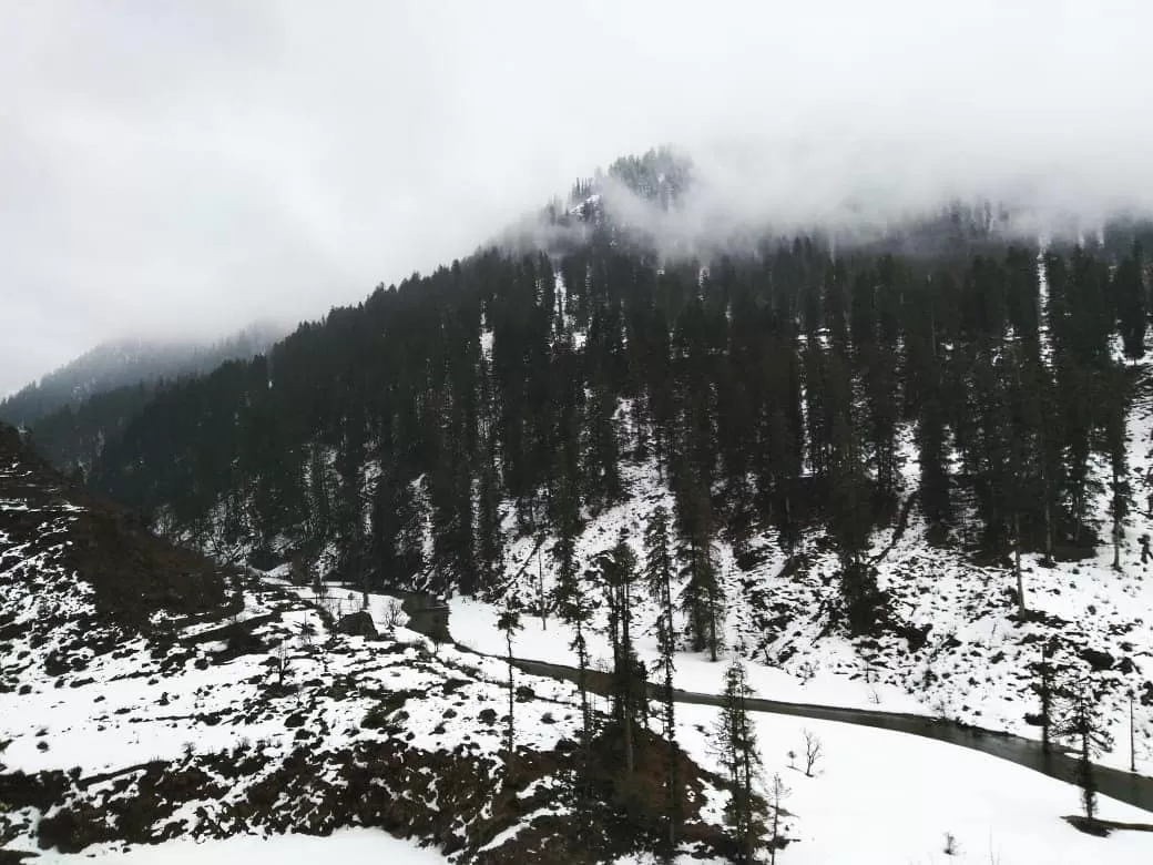 Photo of Tosh By Shubhangi