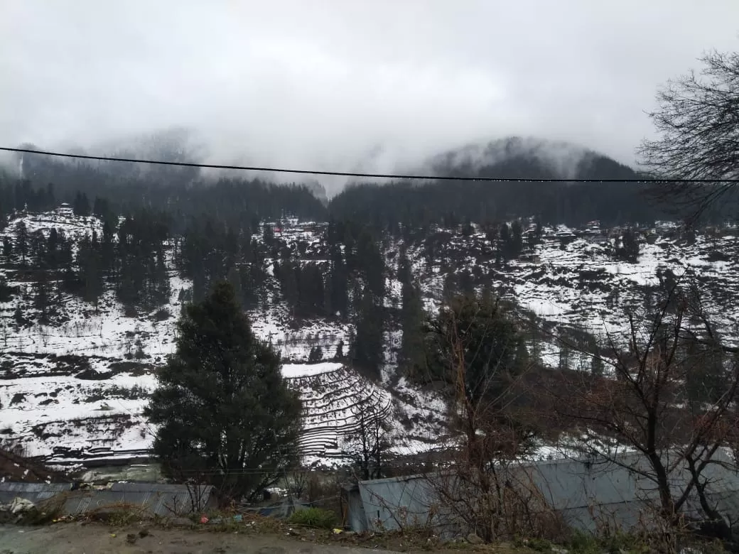 Photo of Tosh By Shubhangi