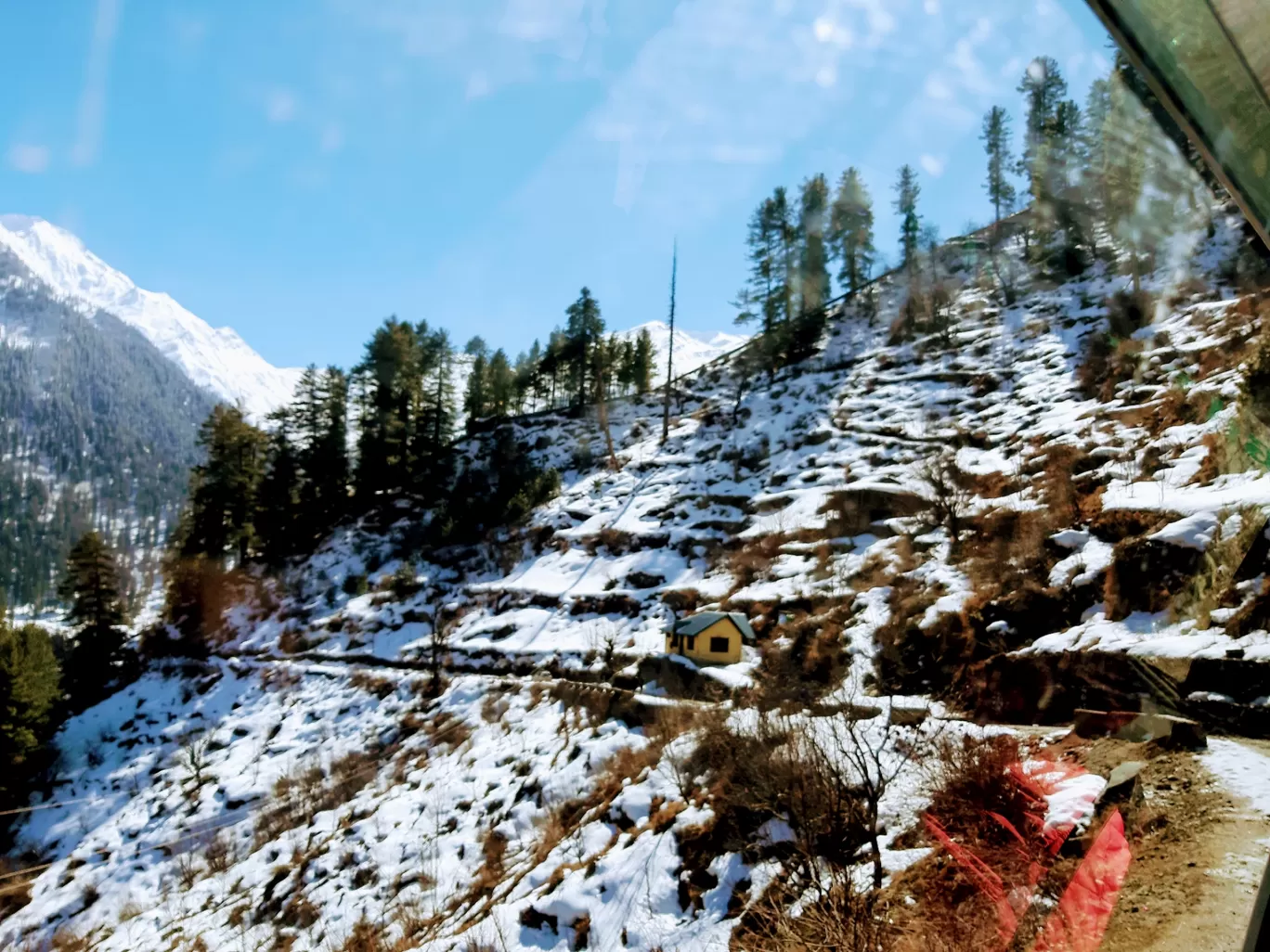 Photo of Tosh By Shubhangi