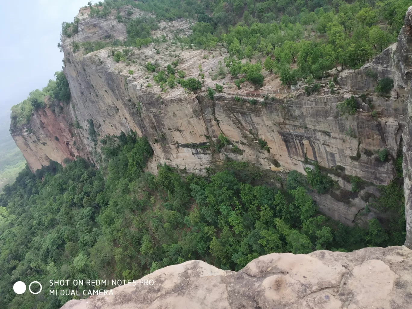 Photo of Tamia Forest Guesthouse By Harsh Yadav