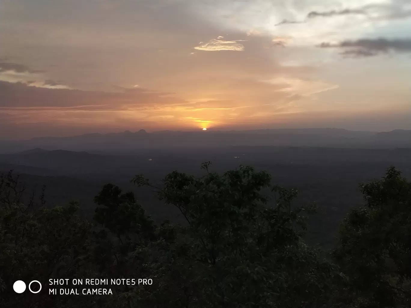 Photo of Tamia Forest Guesthouse By Harsh Yadav