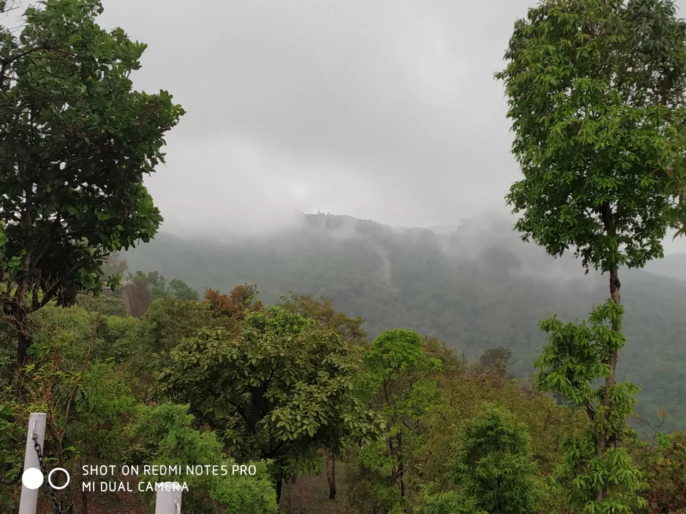 Photo of Tamia Forest Guesthouse By Harsh Yadav