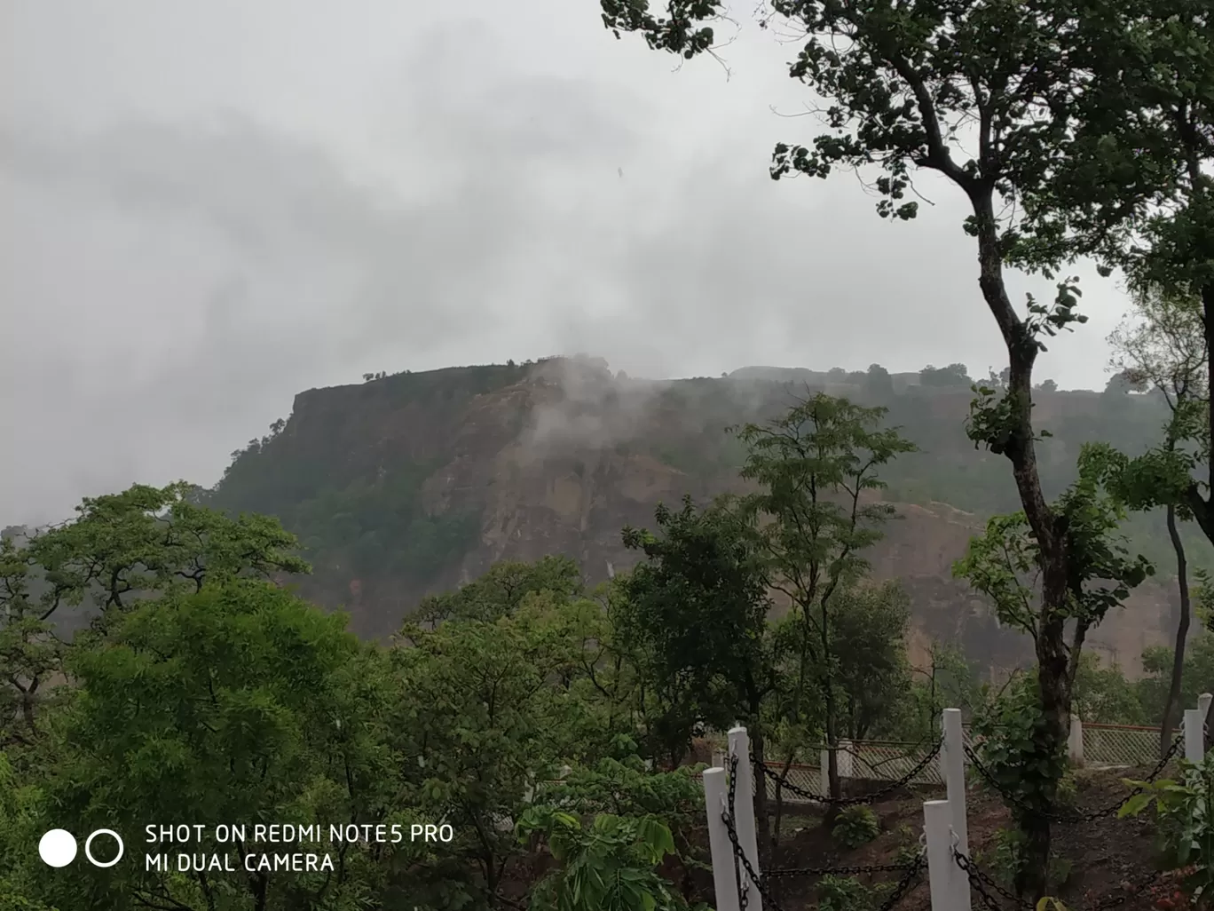 Photo of Tamia Forest Guesthouse By Harsh Yadav