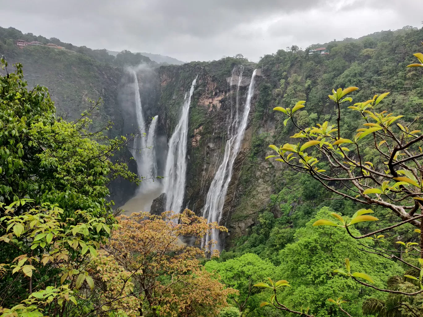 Photo of Jog Falls By Manjith Reddy