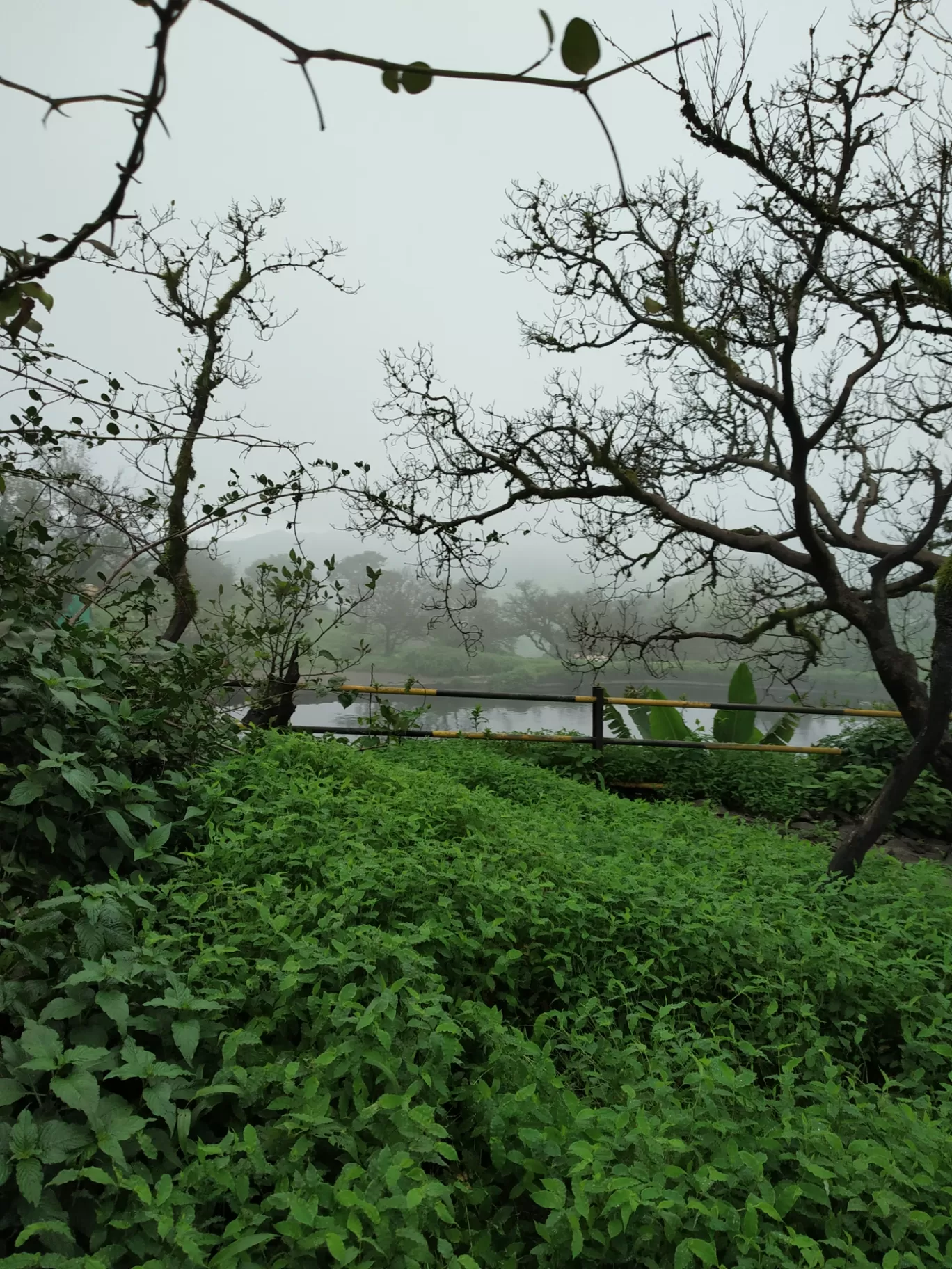 Photo of Sinhagad Fort By Mudit Garg