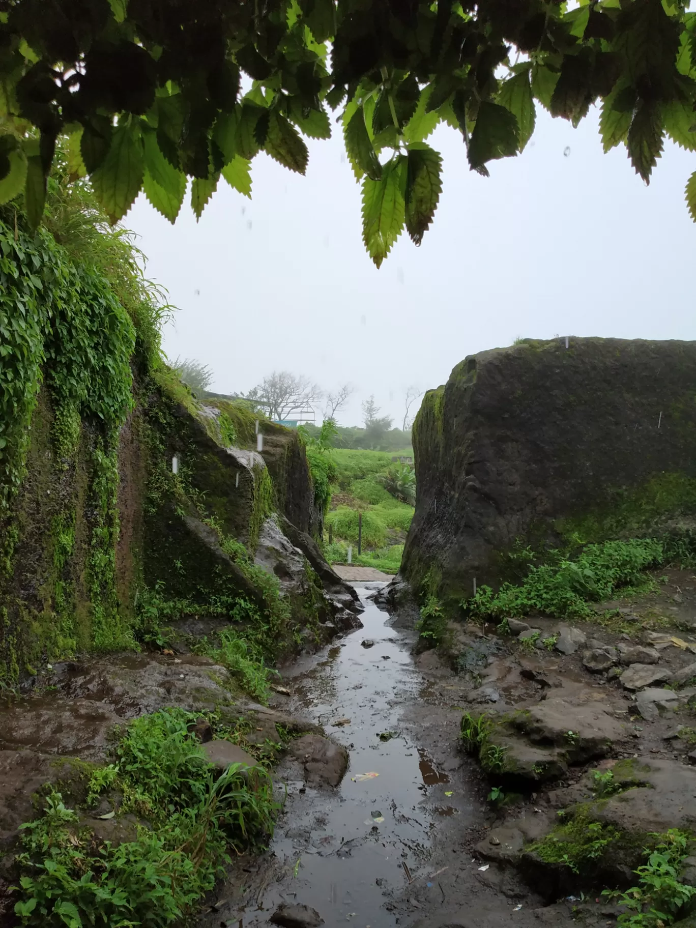 Photo of Sinhagad Fort By Mudit Garg