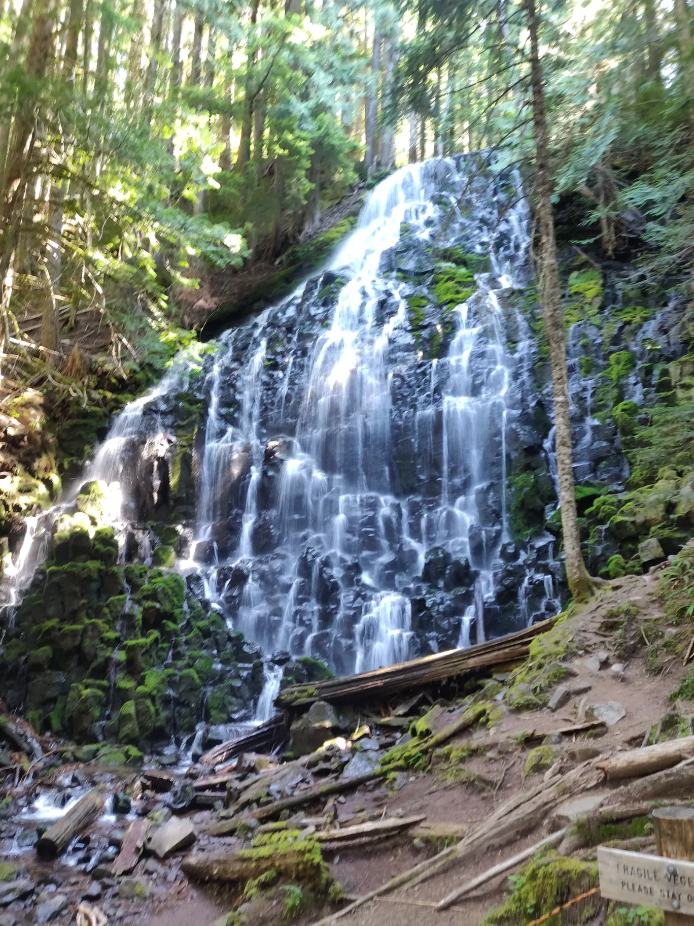 Photo of Oregon By Archana Stockwell