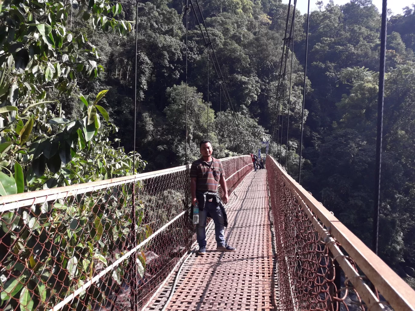 Photo of Jingkieng Nongriat Double Decker Living Root Bridge By vikash rava