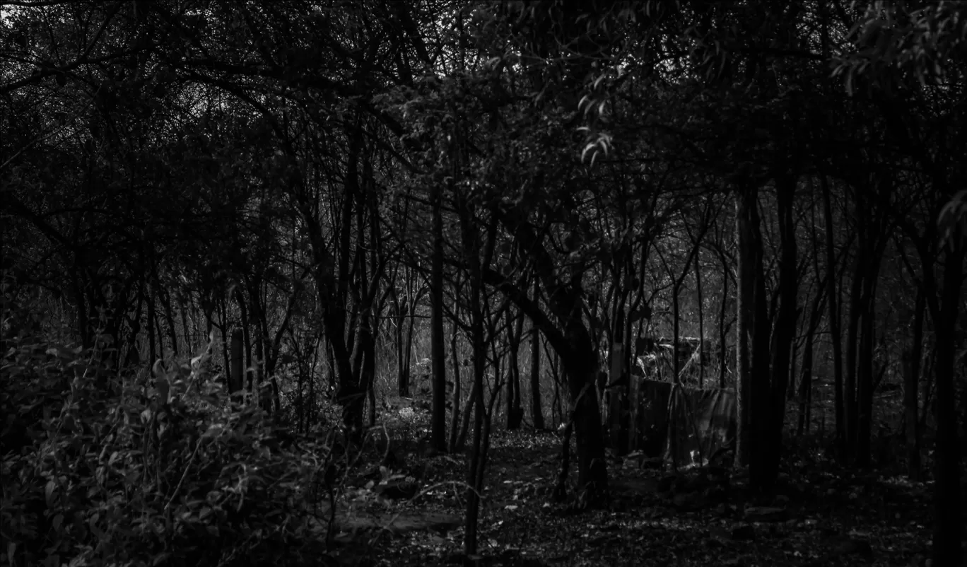 Photo of Goa By Sudip Kumar Mondal