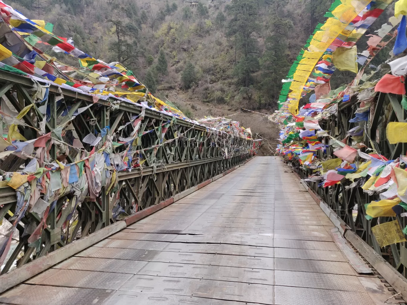 Photo of Sikkim By Himanshu Grover