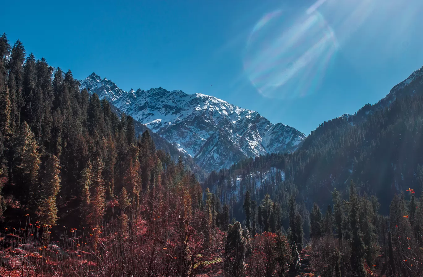 Photo of Himachal Pradesh By ViGnesh Nandakumar