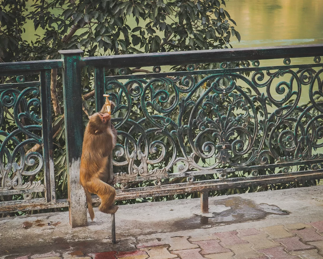 Photo of Rishikesh By Tushar Dabholkar