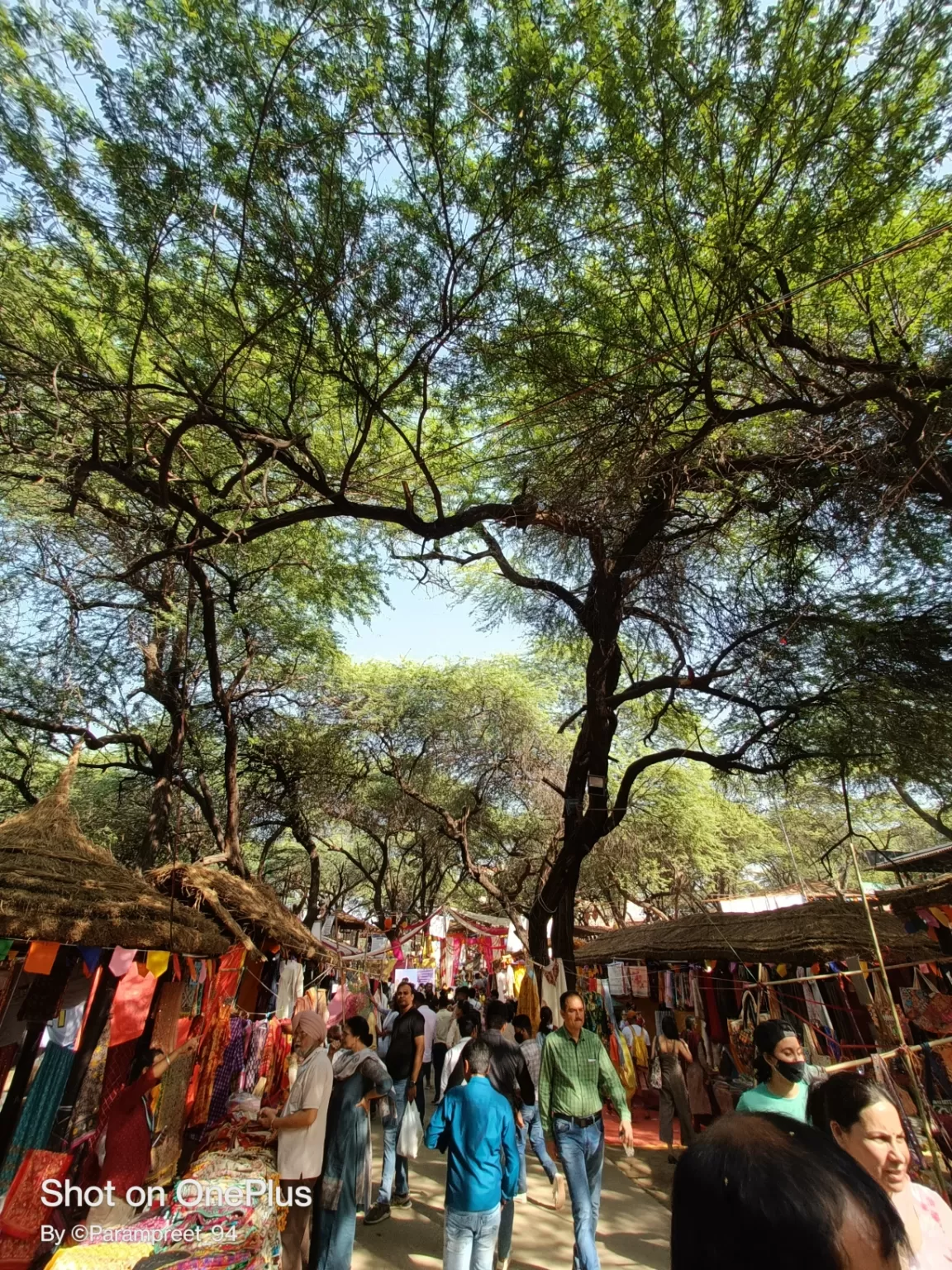 Photo of Surajkund Mela By Parampreet Singh(solo singh)