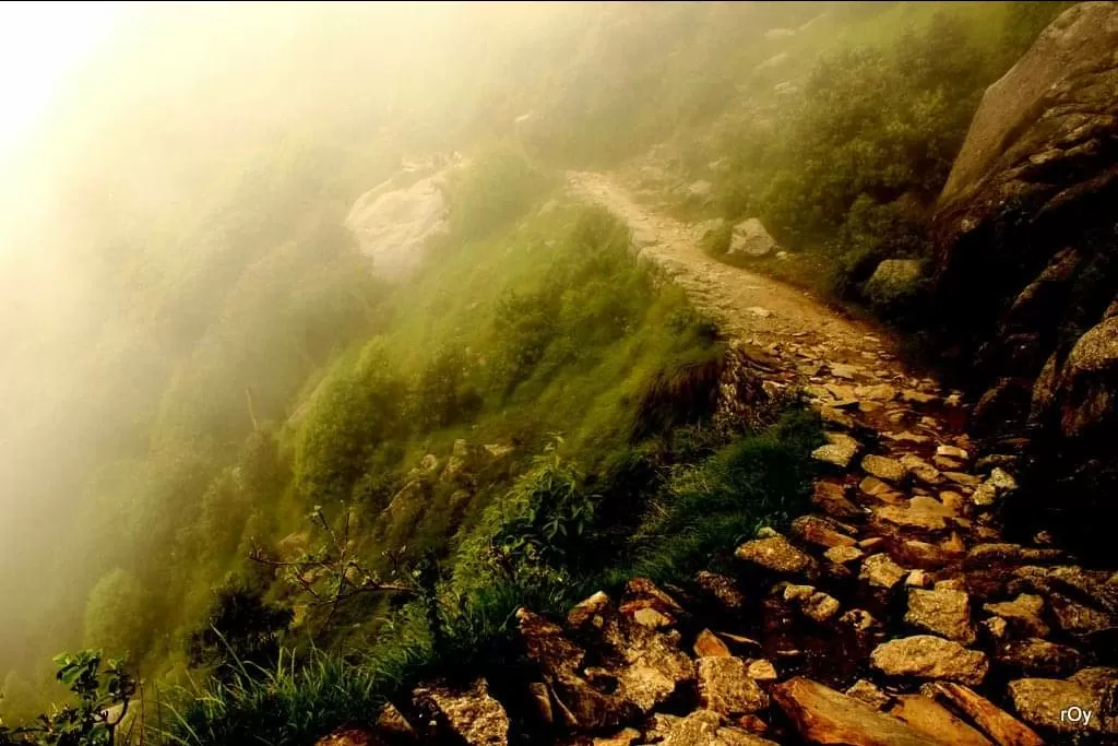 Photo of Triund By Nilanjana Roy