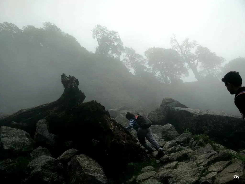 Photo of Triund By Nilanjana Roy