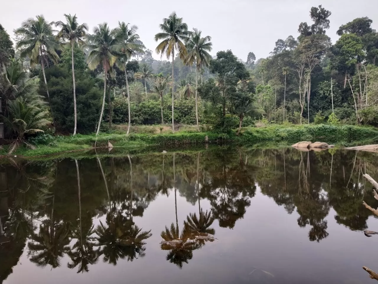 Photo of Kerala By Sayali Kandarkar