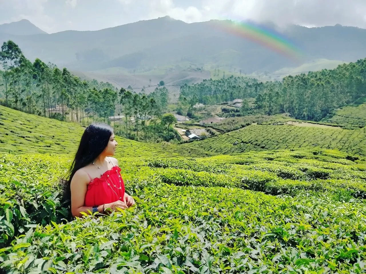 Photo of Munnar By Sayali Kandarkar