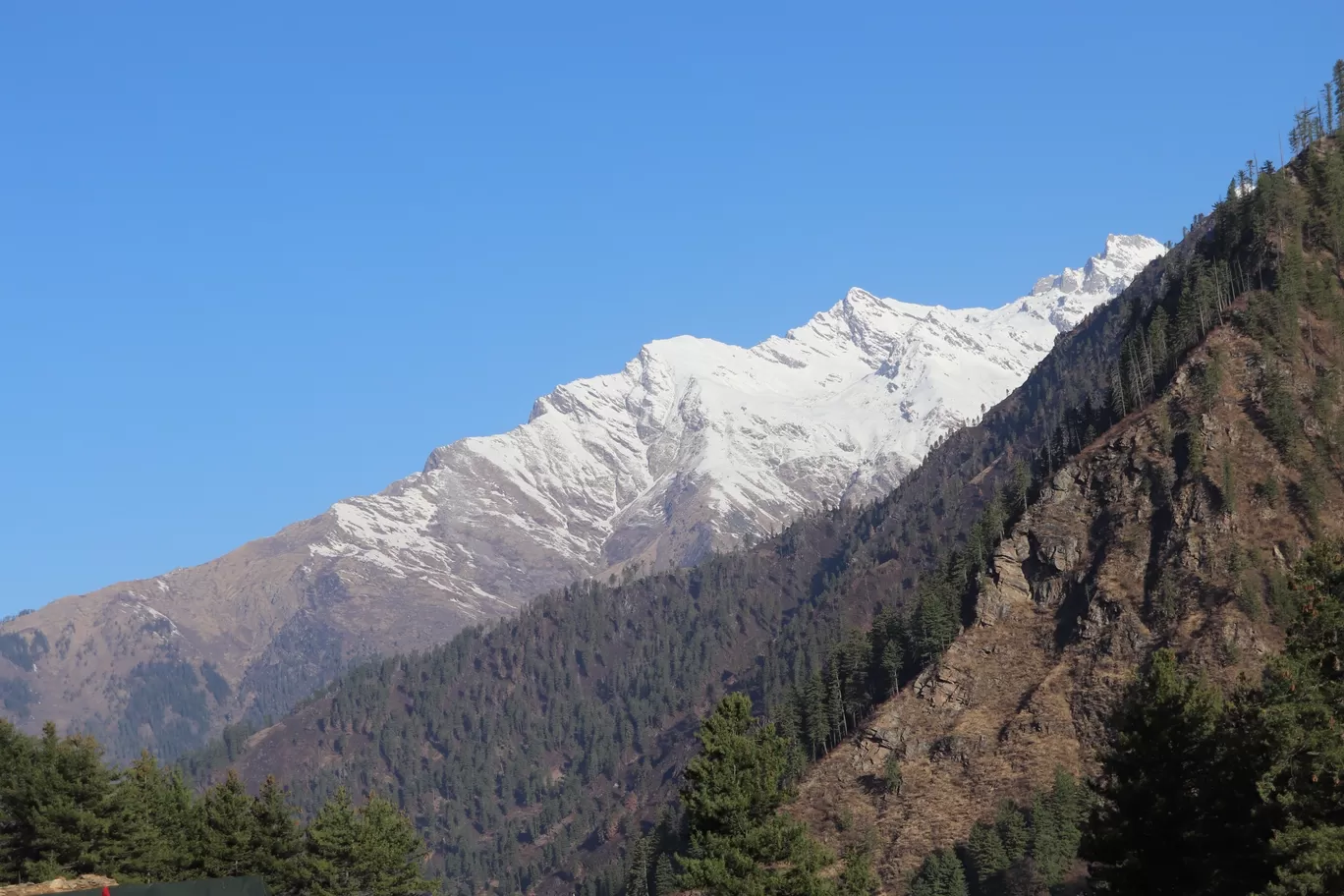 Photo of Kheerganga Trek By Sayali Kandarkar